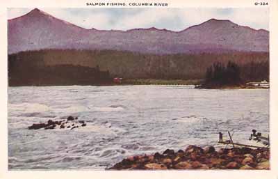 Fishermen work the Cascade Rapids near Cascade Locks, before those were flooded out by the impoundment of Bonneville Dam, in this postcard photo.
